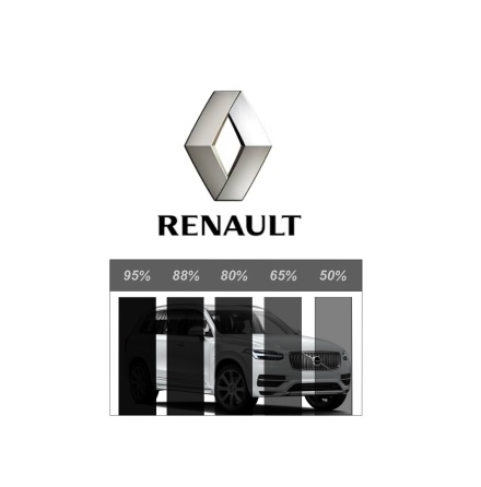 F�rdigskuren Proffs Solfilm - RENAULT